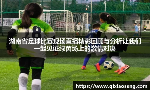 湖南省足球比赛现场直播精彩回顾与分析让我们一起见证绿茵场上的激情对决