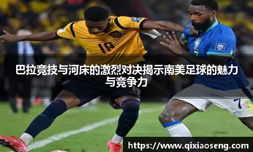 kk体育官网入口